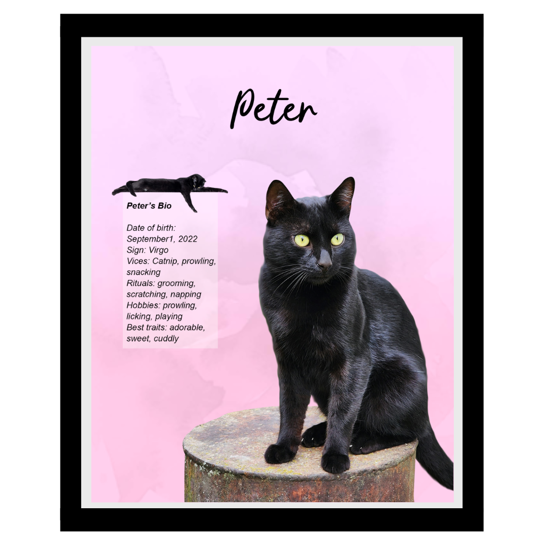 peter (3).png