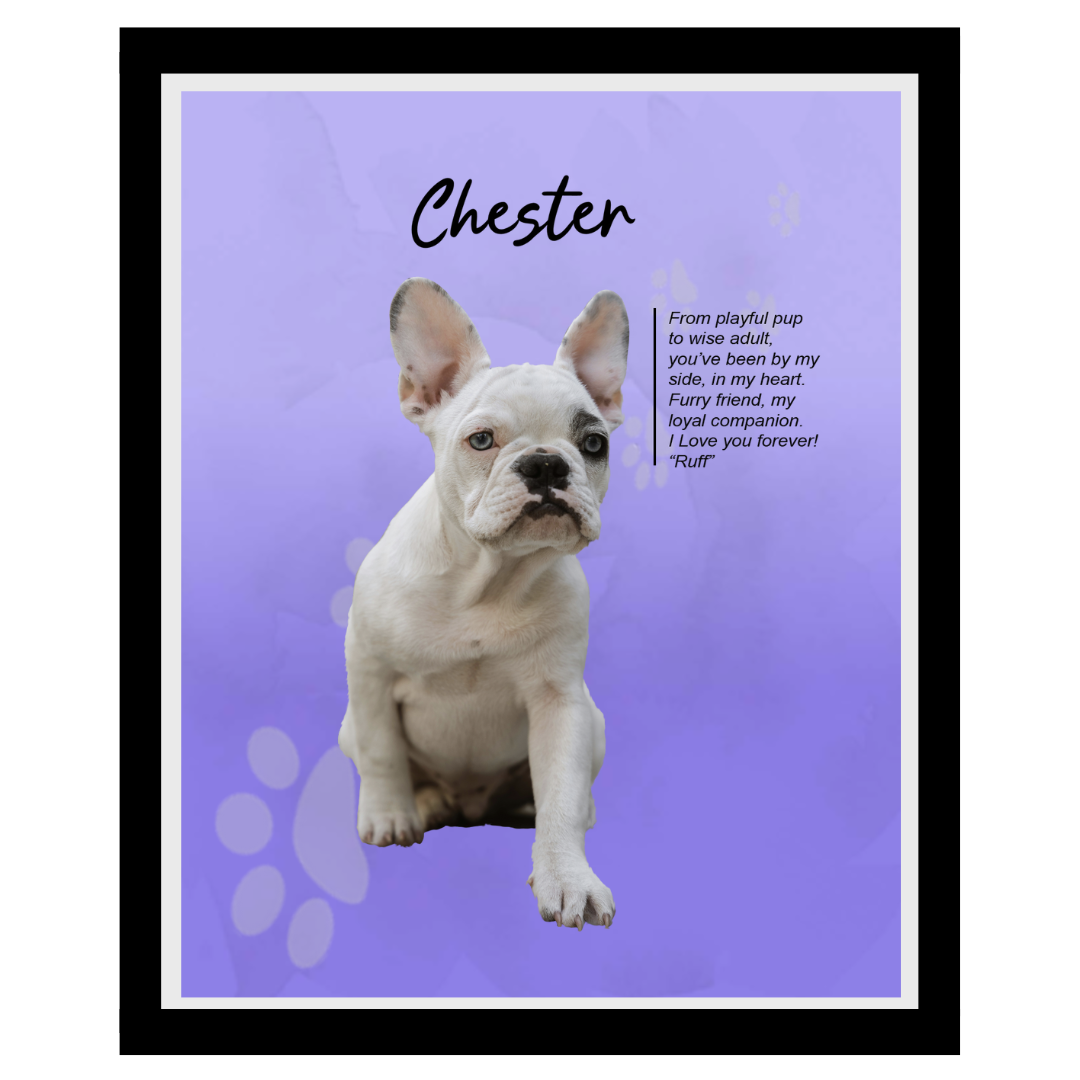 chester.png