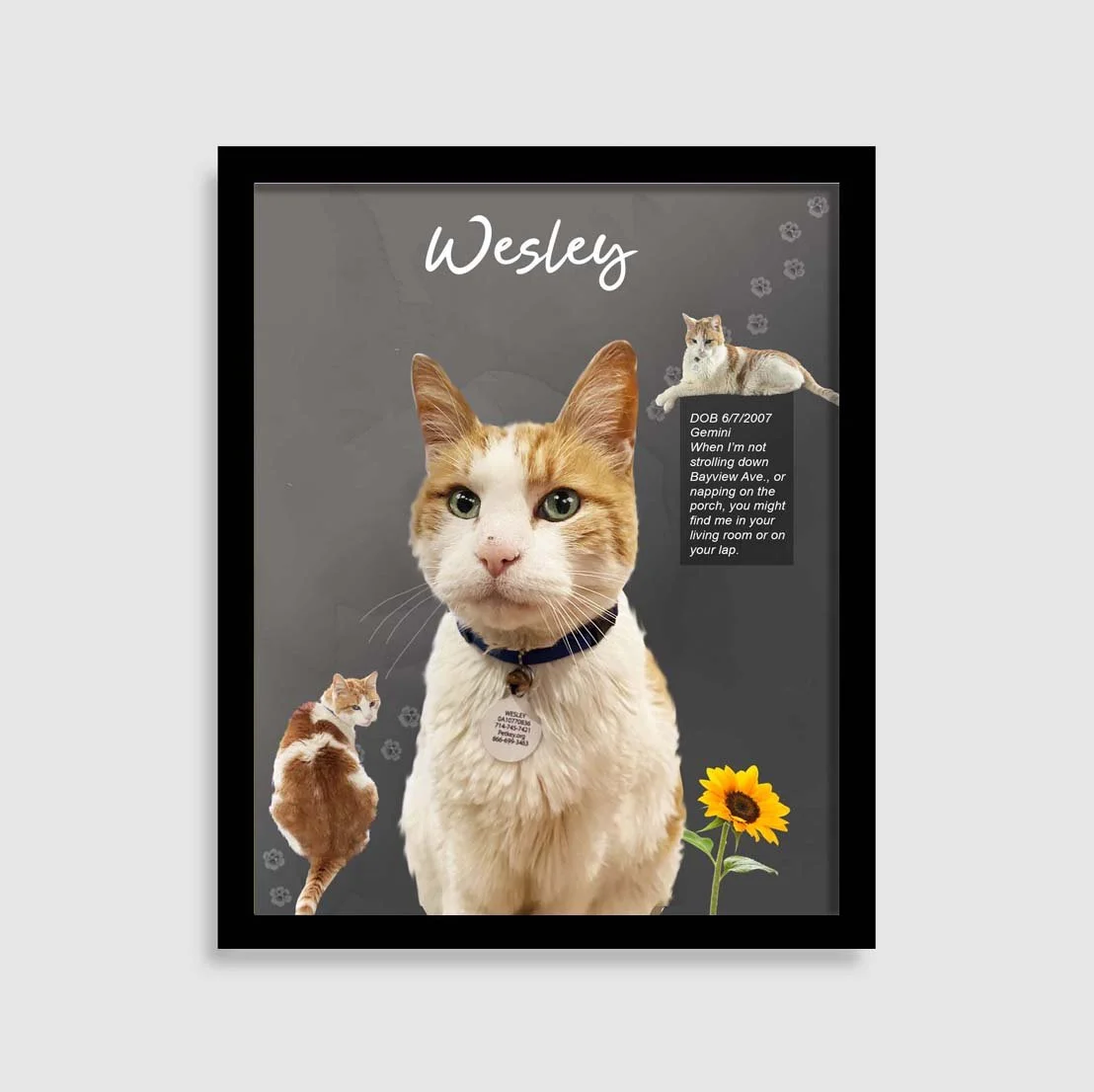 Westley blk 3T.jpg (Copy)