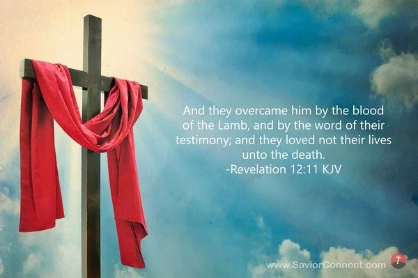 Overcomer