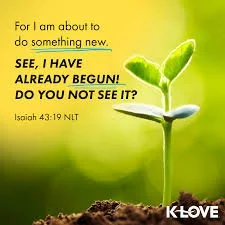 A Way In The Wilderness