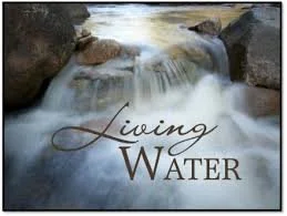 Believing For An Oasis