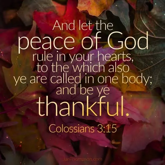 Let Peace Be The Umpire