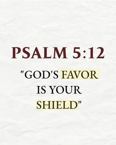 Shield Of Favor