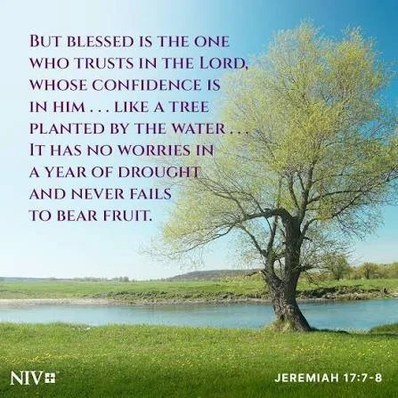 Obstacles To Growth