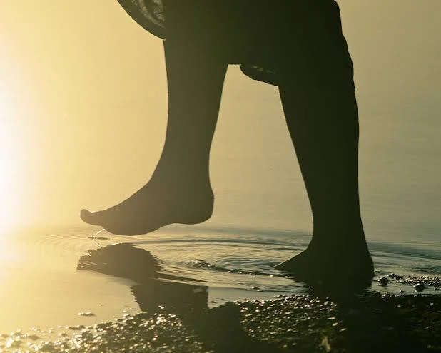 Step Into The Water