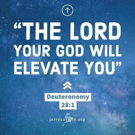 Elevate