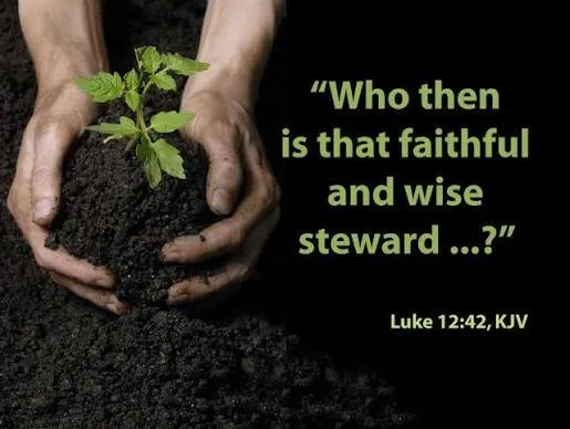 Entrusted With His Grace