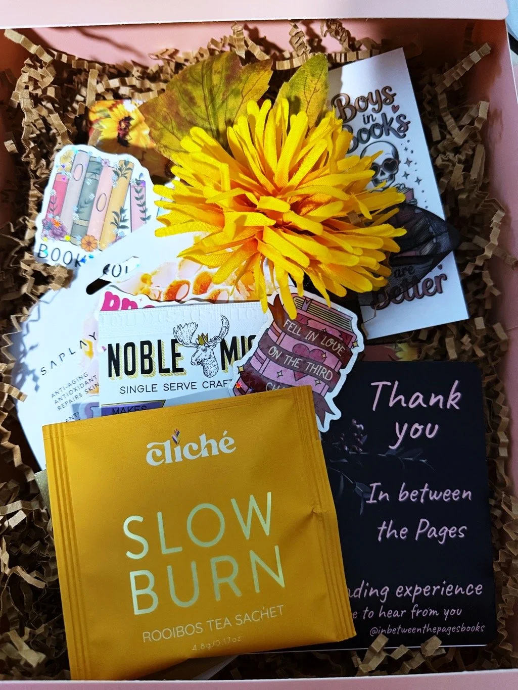 Blind Date with a Book - Teaser Box
