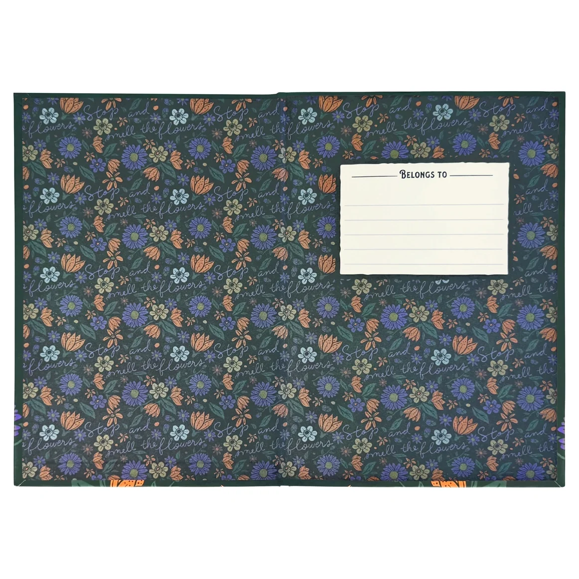 togjournal3.webp