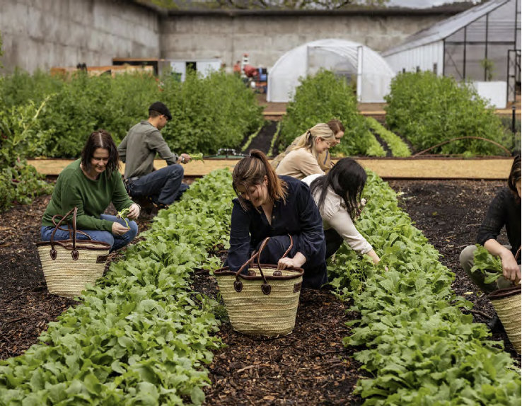 Kitchen Garden Cooking Classes.png