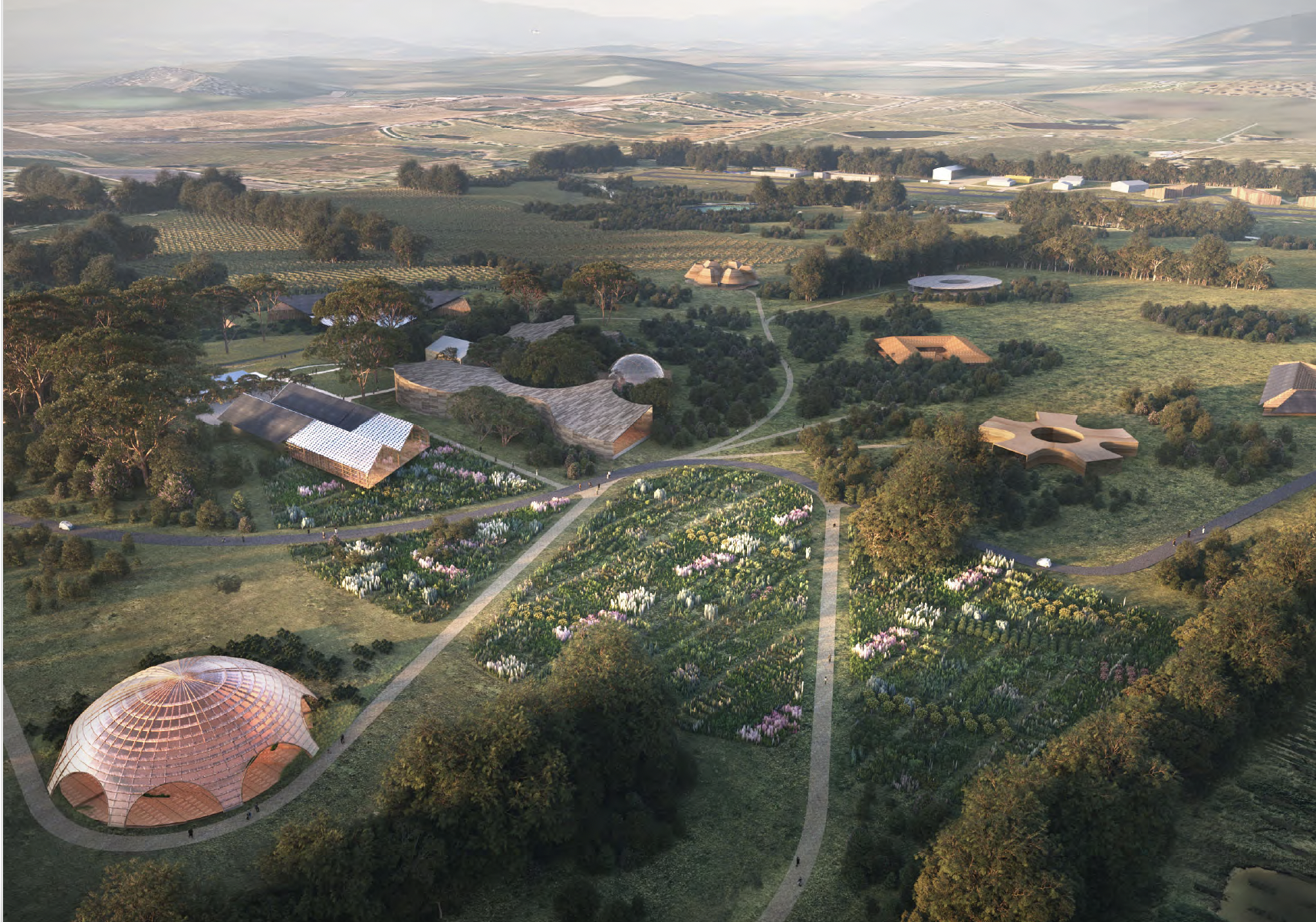 aerial Amphitheatre .png
