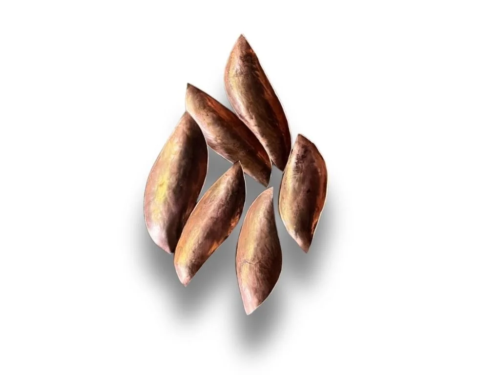 Six reddish-brown sweet potato wedges on a white background.