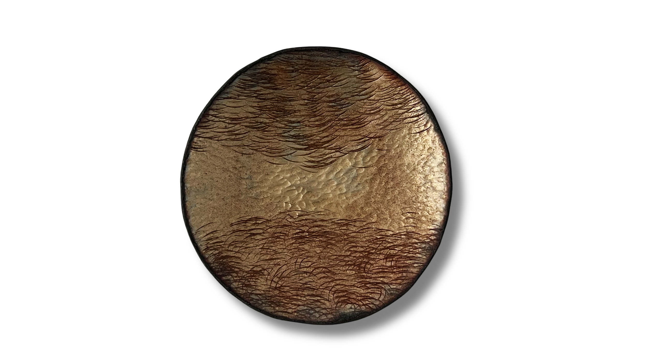 Close-up of a circular object with detailed textured surface, featuring dark hair-like lines on a beige and brown background.