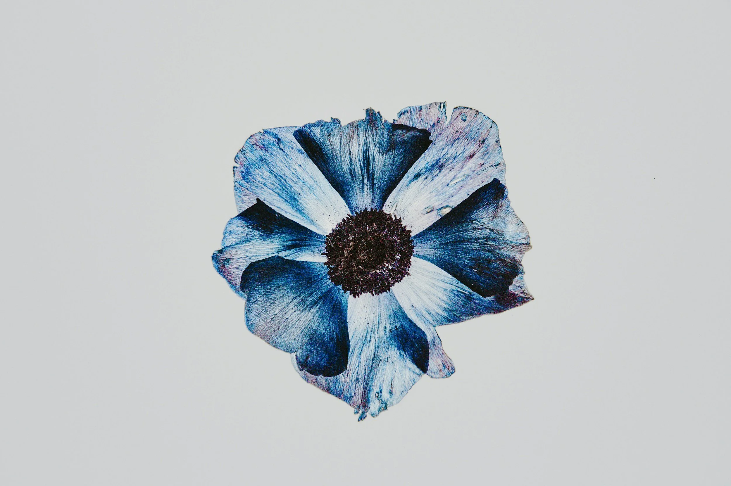 unsplash-image-XibTbQFqIjY.jpg