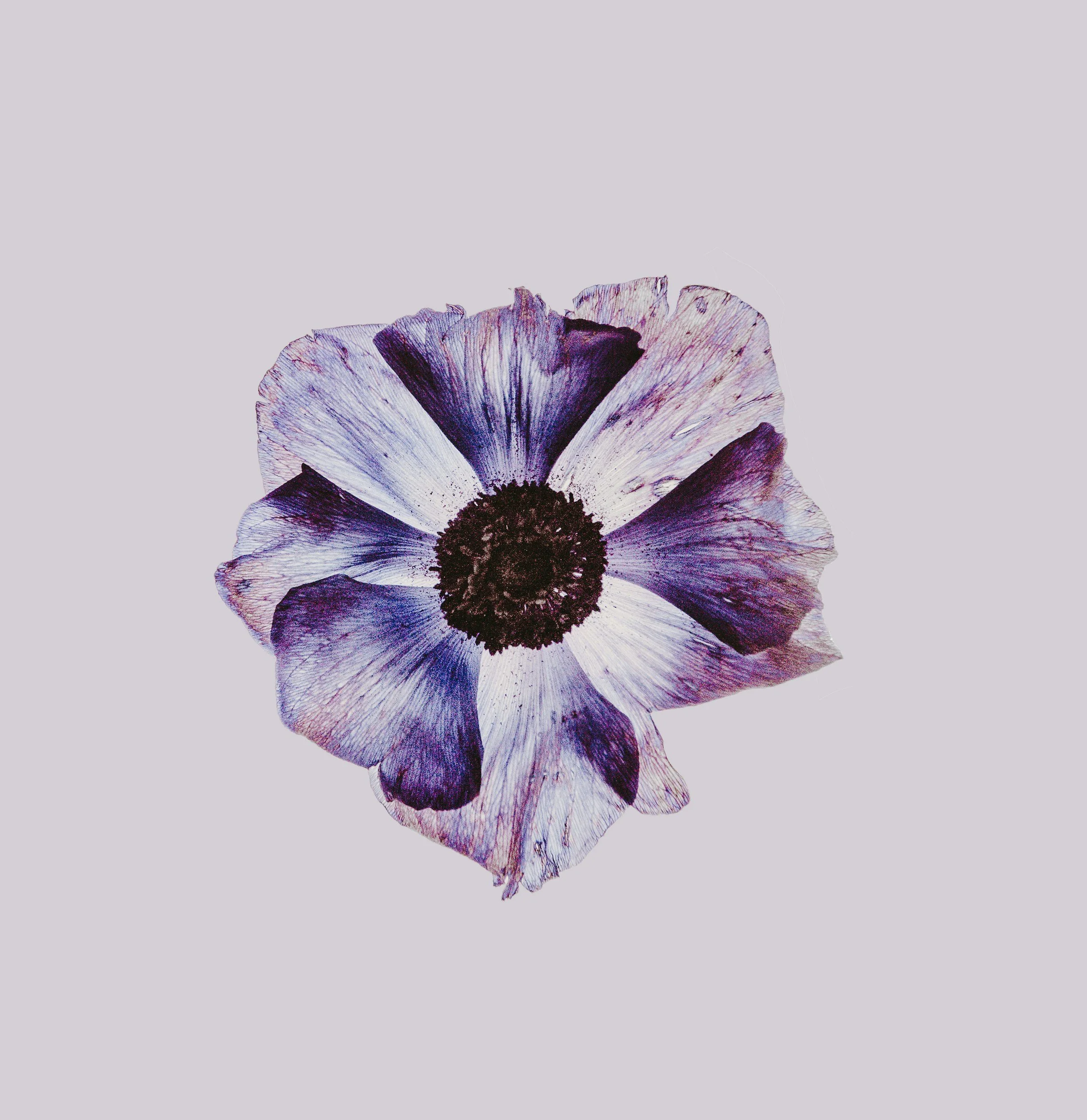 unsplash-image-N3_3laFj5Ts.jpg