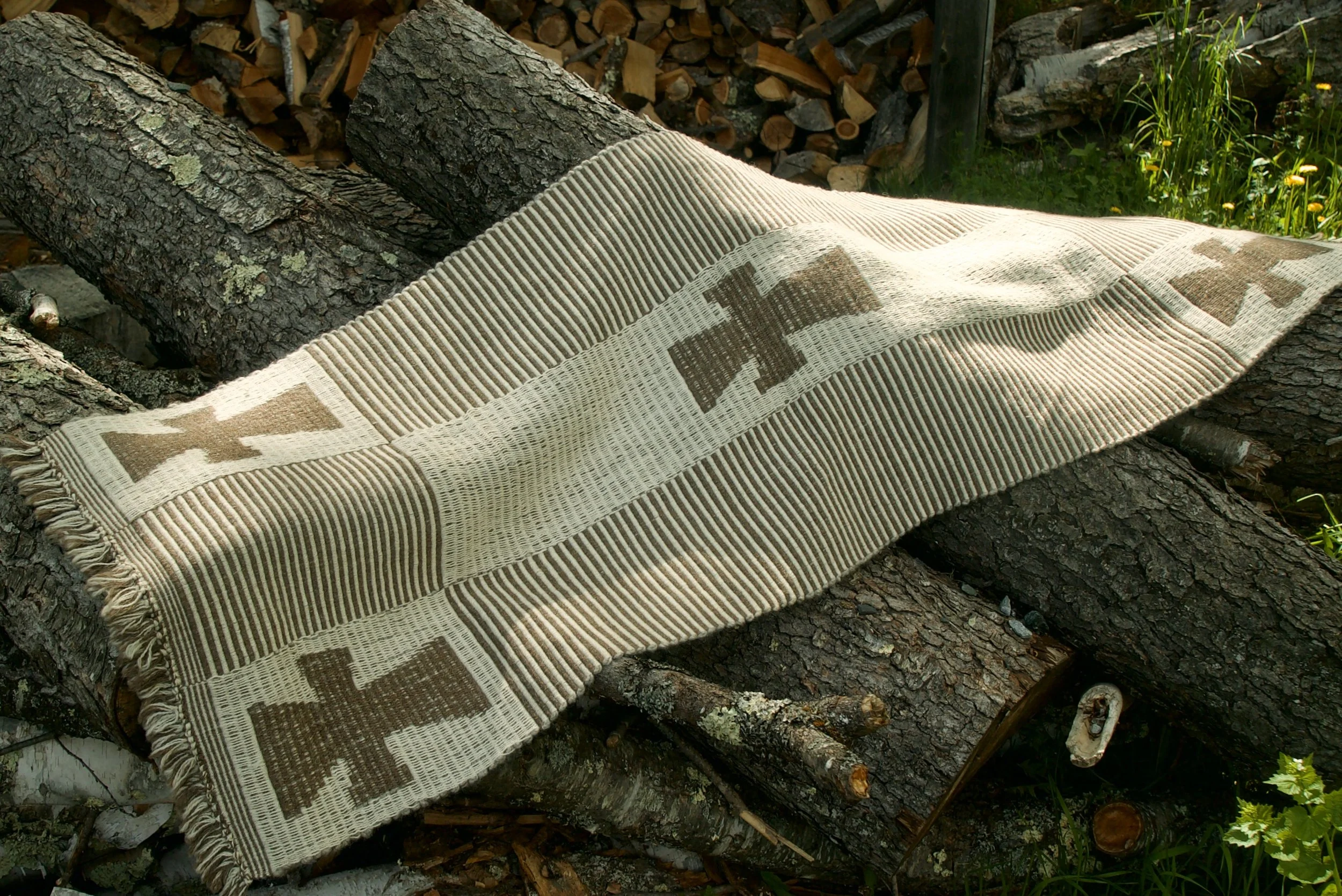DSC06043.jpg