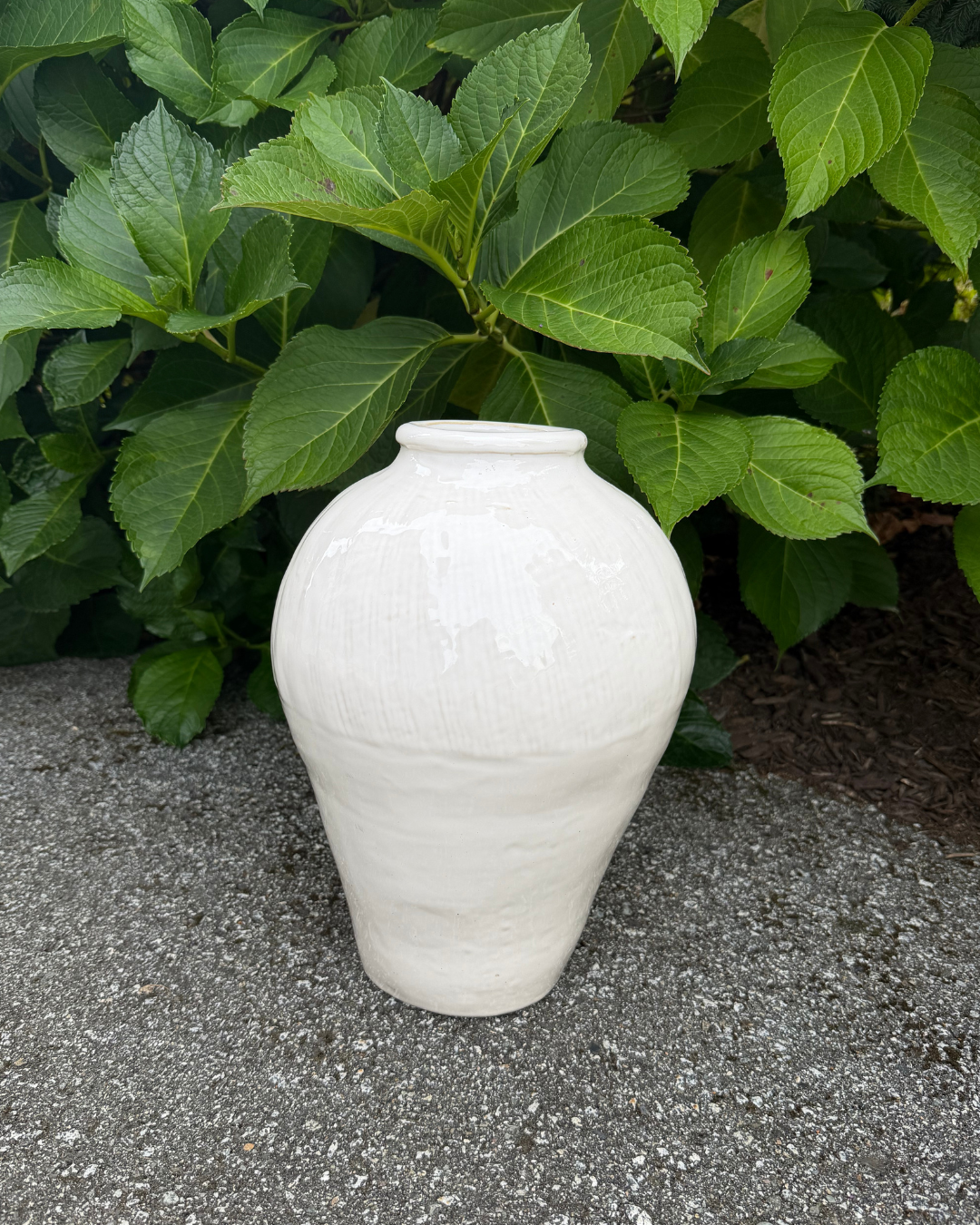 Sylvie Vase