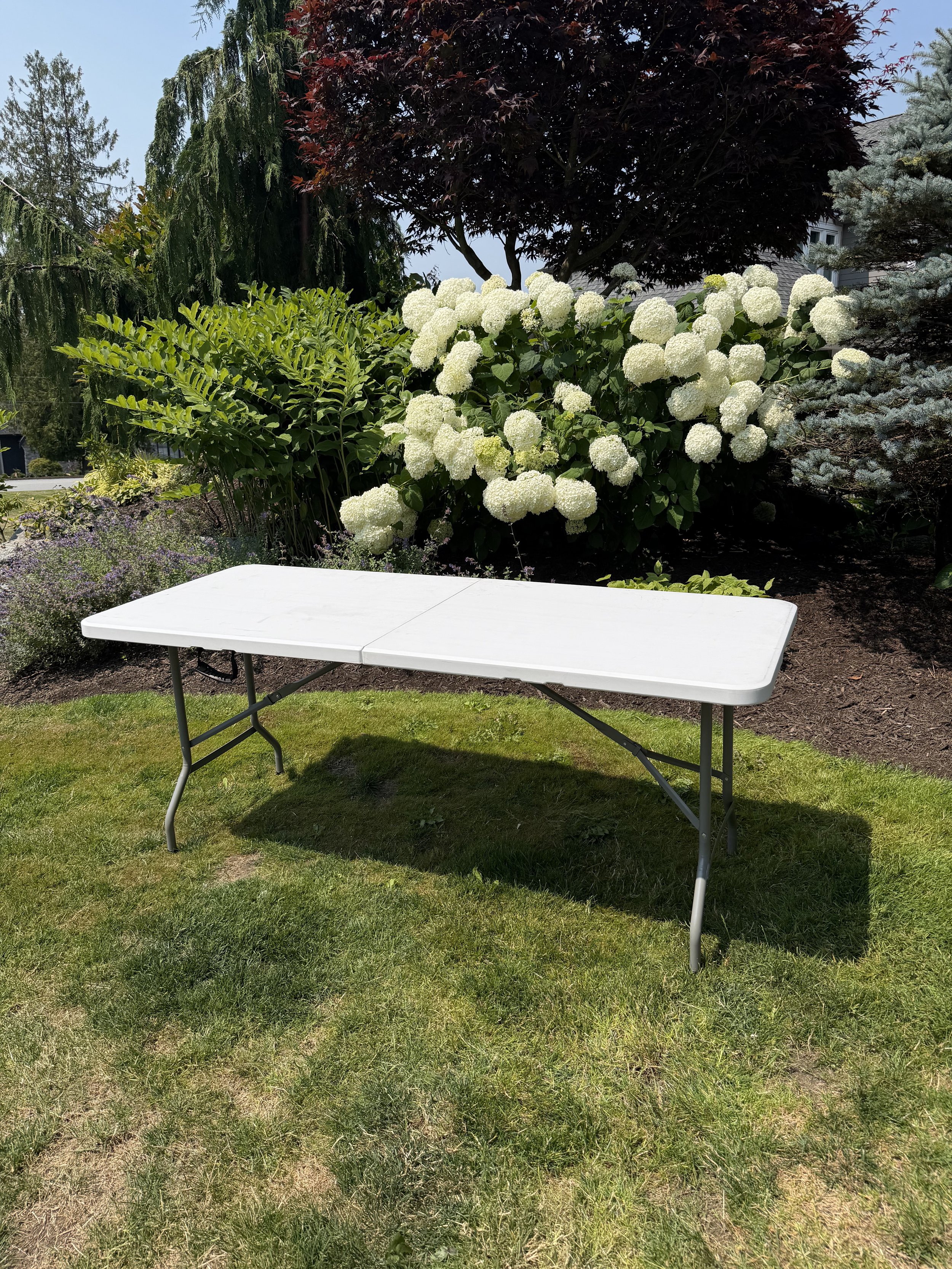 5FT Rectangular Folding Table