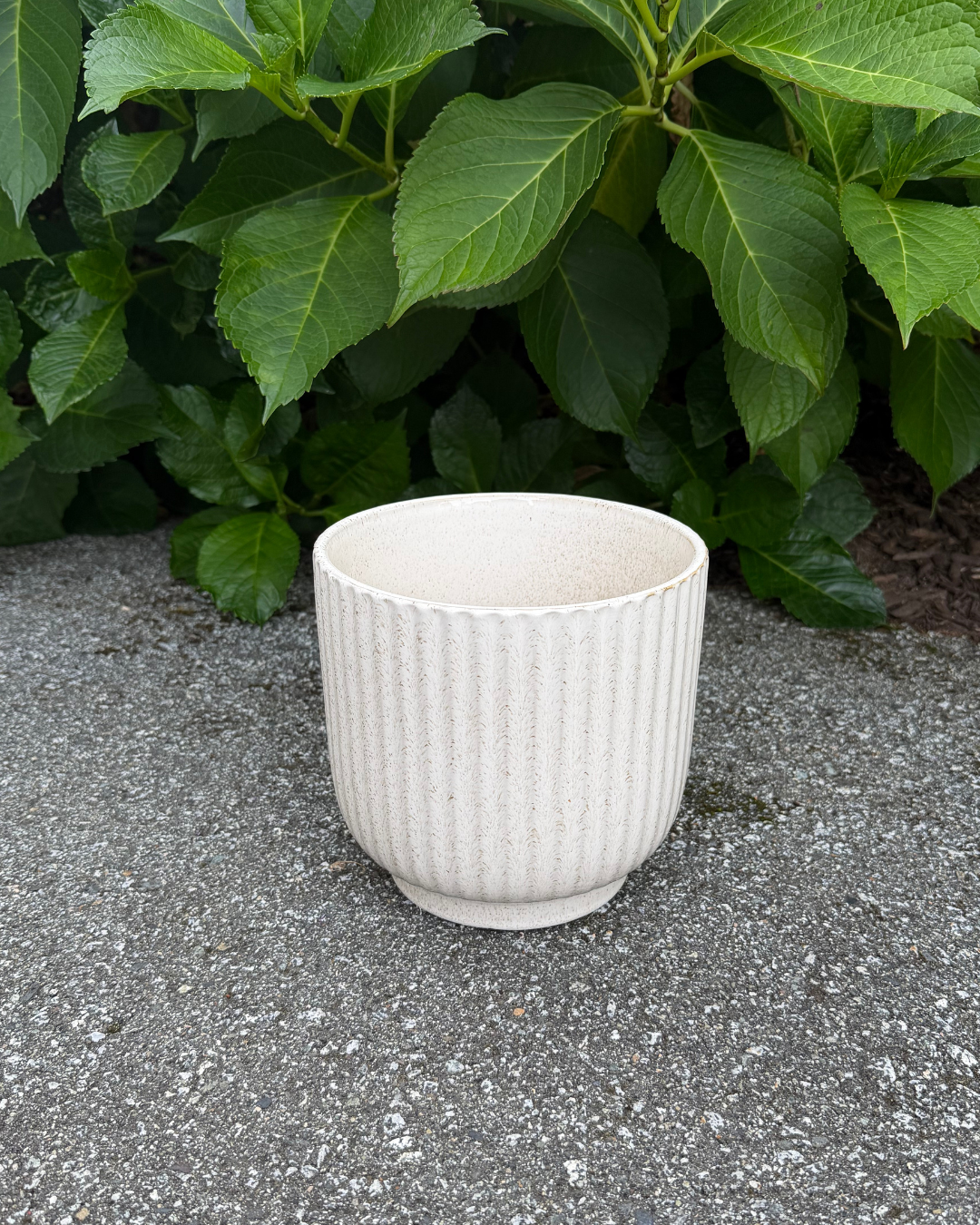Betty Vase