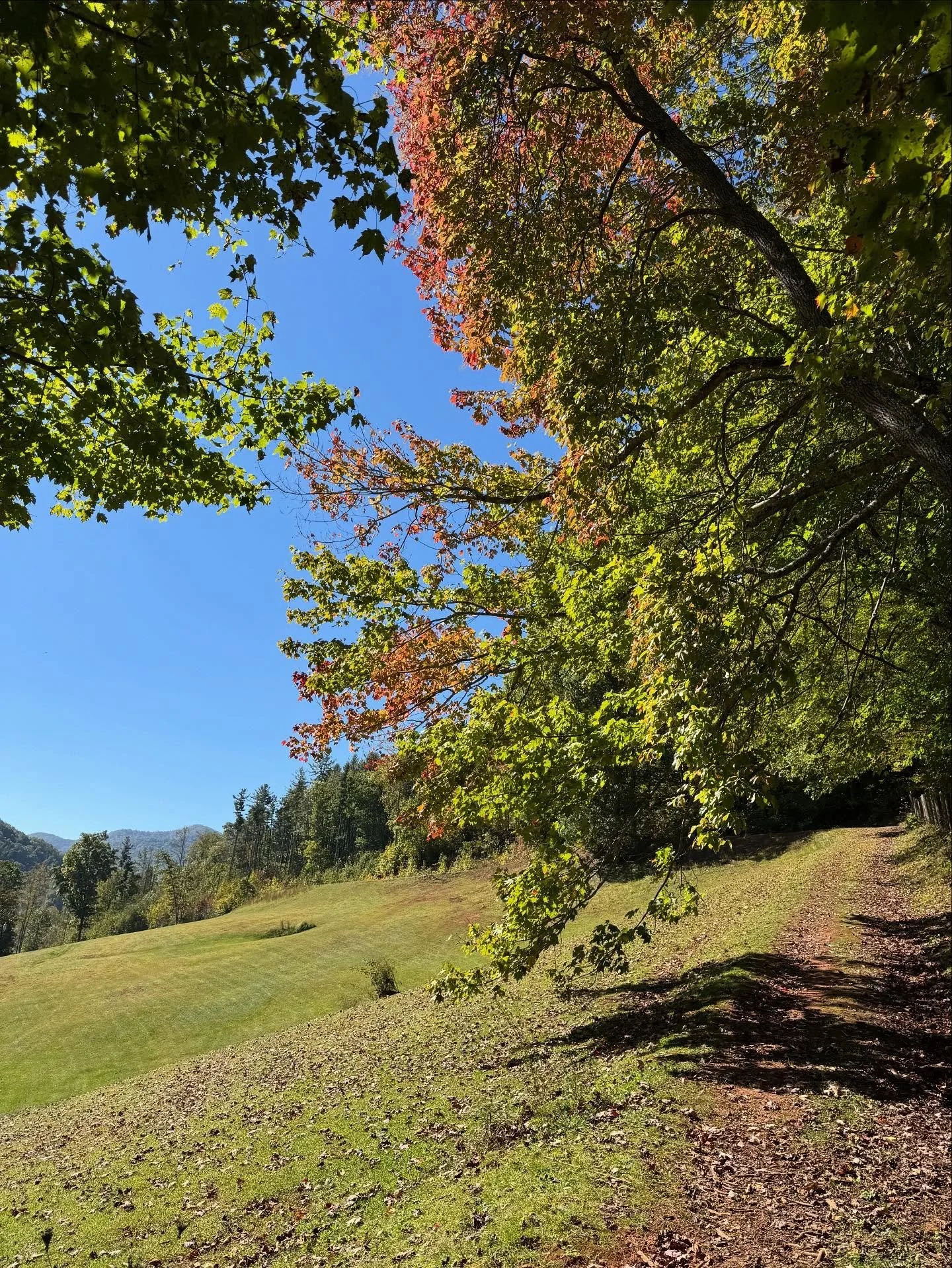 Did you know the Inn has lots of on site walking trails? As we get into leaf season we will be doing weekly videos of how to get to them. Today we posted our first one how to get to the pond! Make sure to check it out and follow along for more outdoo