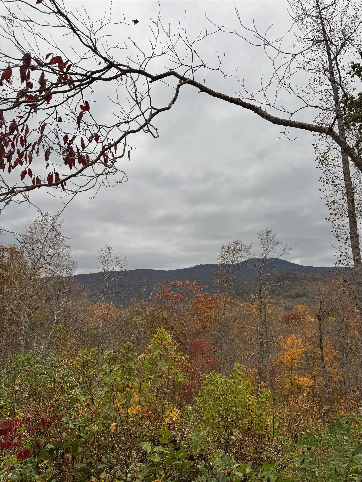 It&rsquo;s not too late to visit the inn for the fall colors! Book your room today https://www.thebalsammountaininn.com/book-a-room