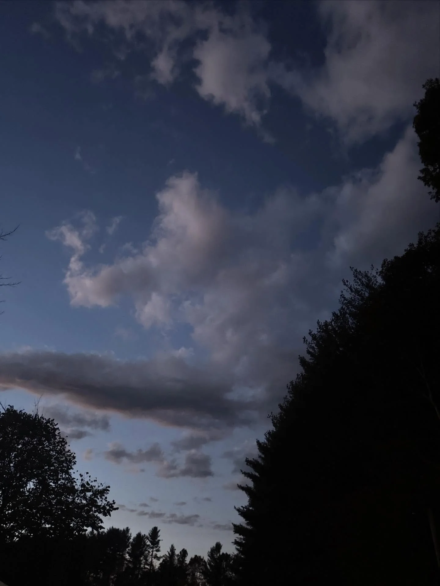 Trivia night tonight 7-9! Join us for a game that will focus on Shakespeare, on the map, battles and more!Hope to see you!