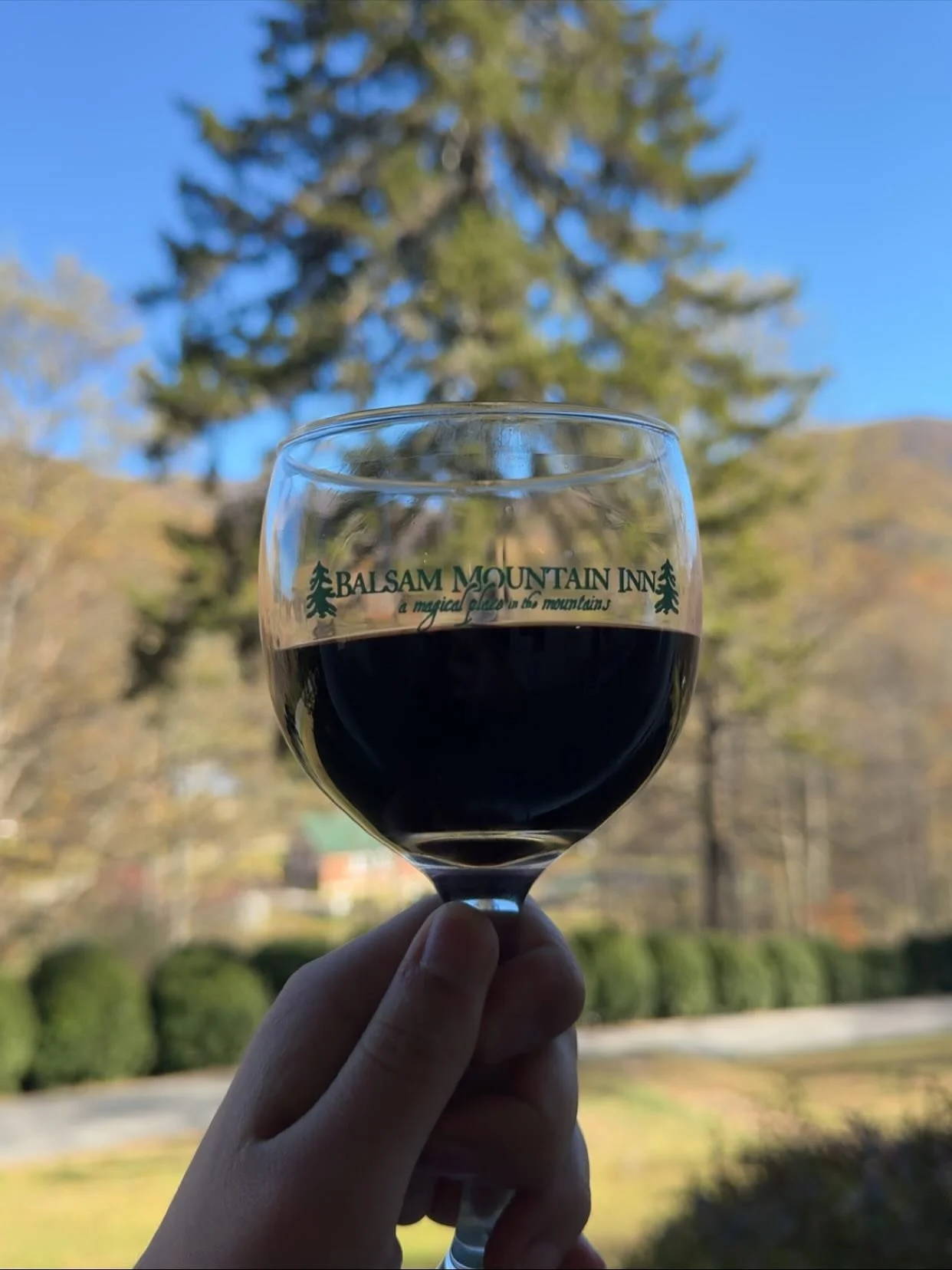 Thanksgiving wine tasting THIS Thursday November 6th 6-8! Sit back, enjoy the beautiful balsam autumn views and sip on a glass of wine or two. Find new perfect wines to enjoy with your Thanksgiving dinner and share with your loved ones. Don&rsquo;t m