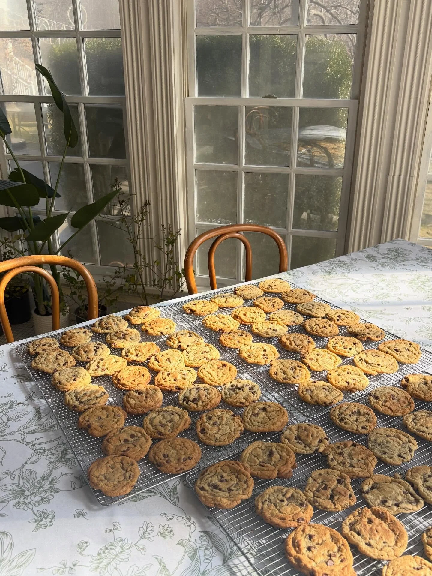 Fresh cookies baked this morning! Celebrate the Christmas season by driving by the inn for Christmas lights every night dark to 9! Inside the lobby waiting for you is free hot chocolate and cookies!