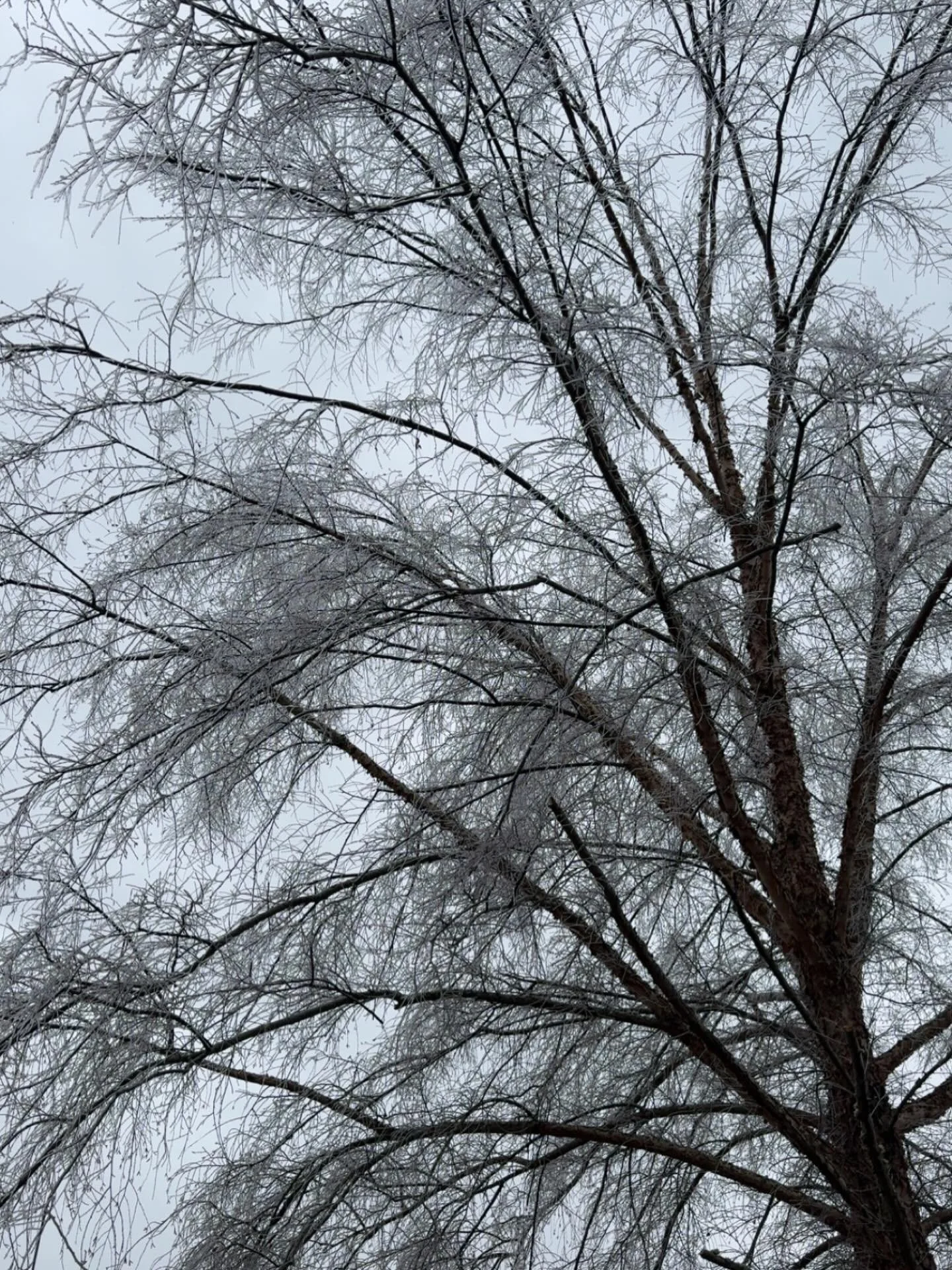 Due to the cold weather the bar and cafe will be closed this week Monday-Thursday and the front desk will be closed at 6! Stay safe and warm everyone!