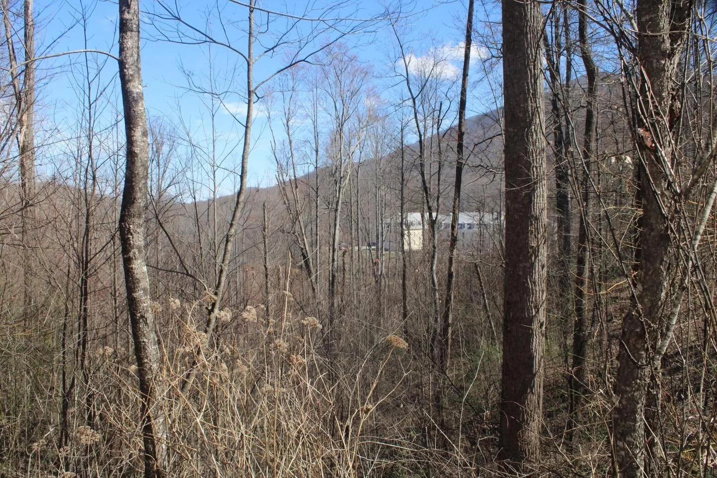 Nestled in the heart of the mountains, where history meets stillness and every view feels like a breath of fresh air- The Balsam Mountain Inn