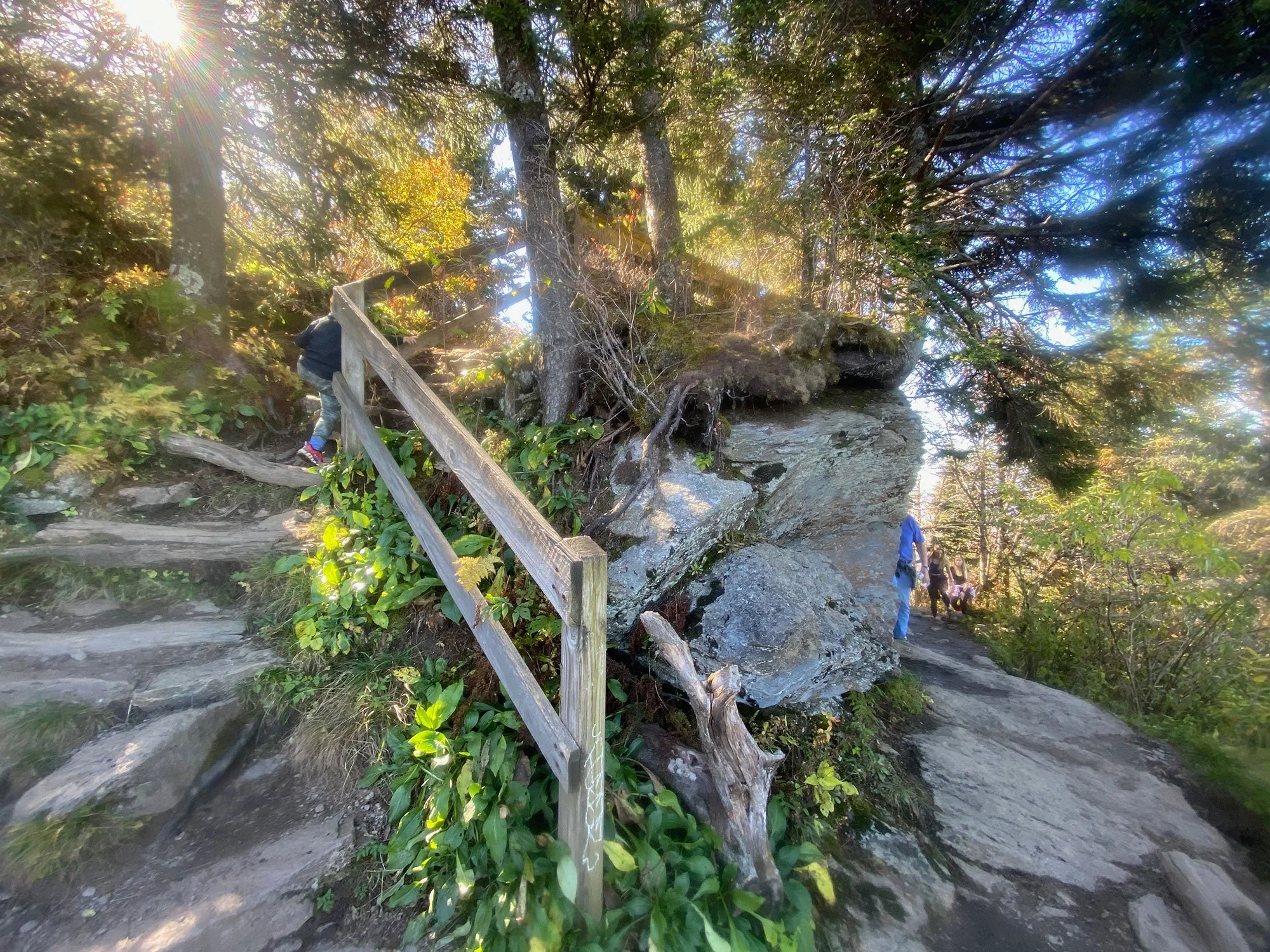 Bend in the trail up Waterrock Knob on the Blue Ridge Parkway near Balsam Mountain Inn