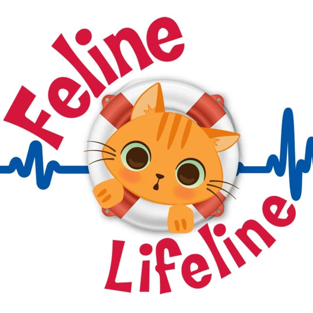 Feline Lifeline Fundraiser