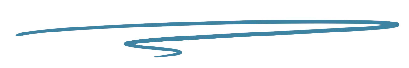 A blue decorative line or stroke with curves and a flourish design.