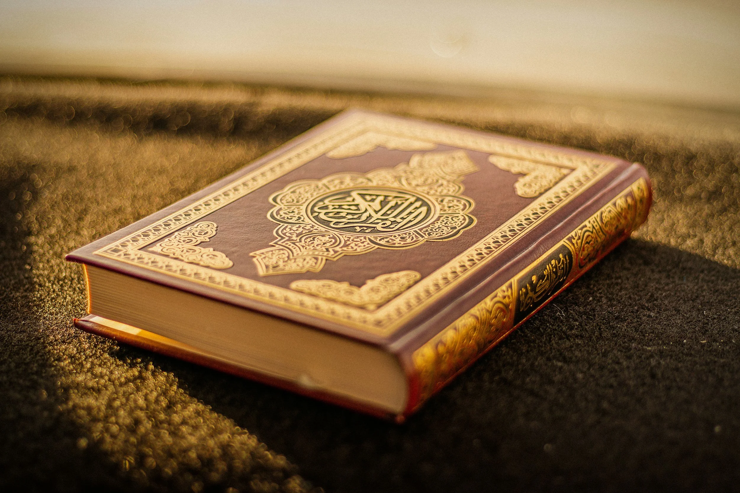 Quran Tafsir Class w/ Sheikh Hashemi