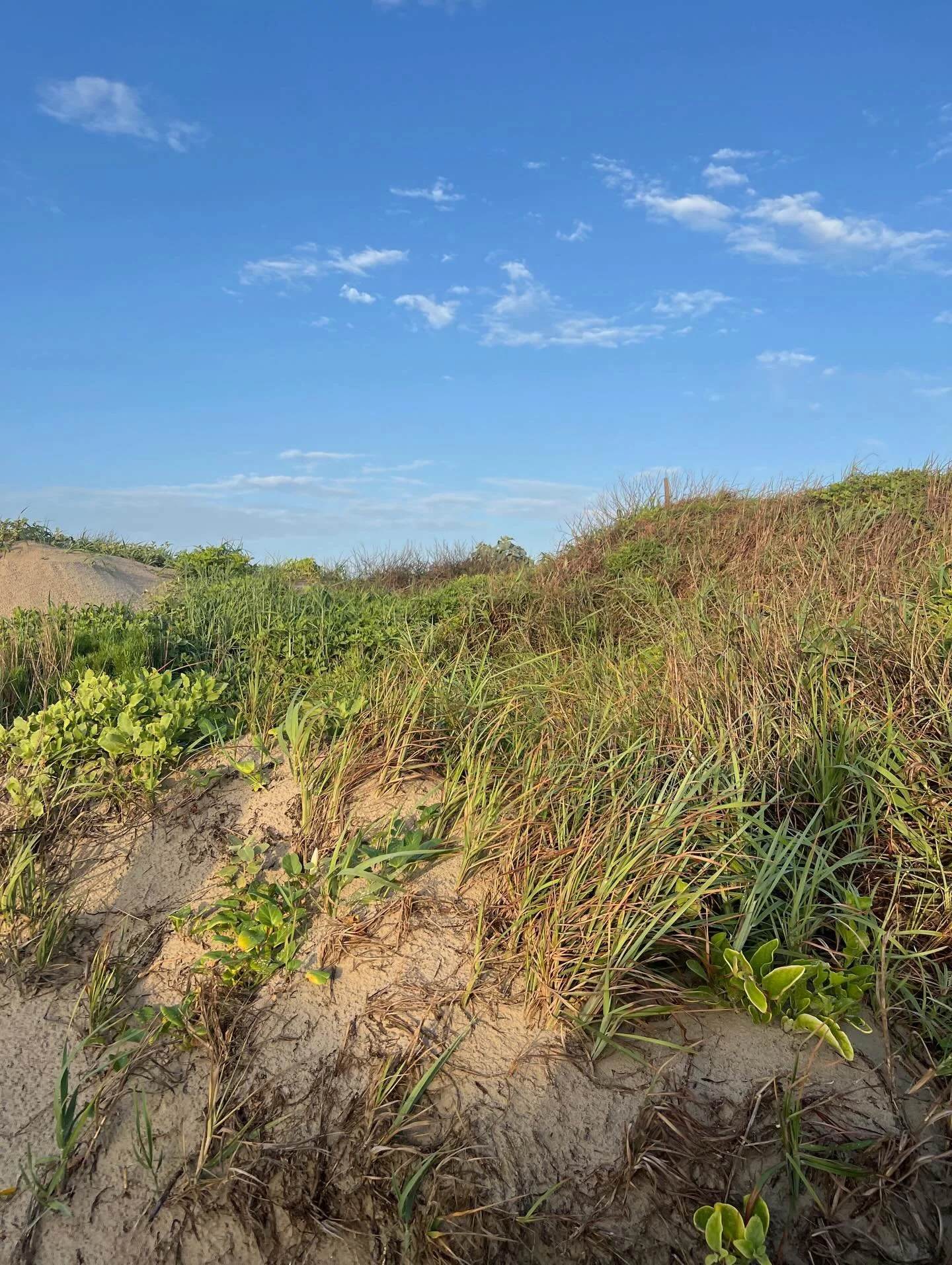 🌊 Port Aransas Inspiration 🌊

Y&rsquo;all, I love the snow but I am READY to start planning some water-based trips for 2026! I&rsquo;ve been looking back through my photos from last year and getting so inspired by all things ocean, lake, river, etc