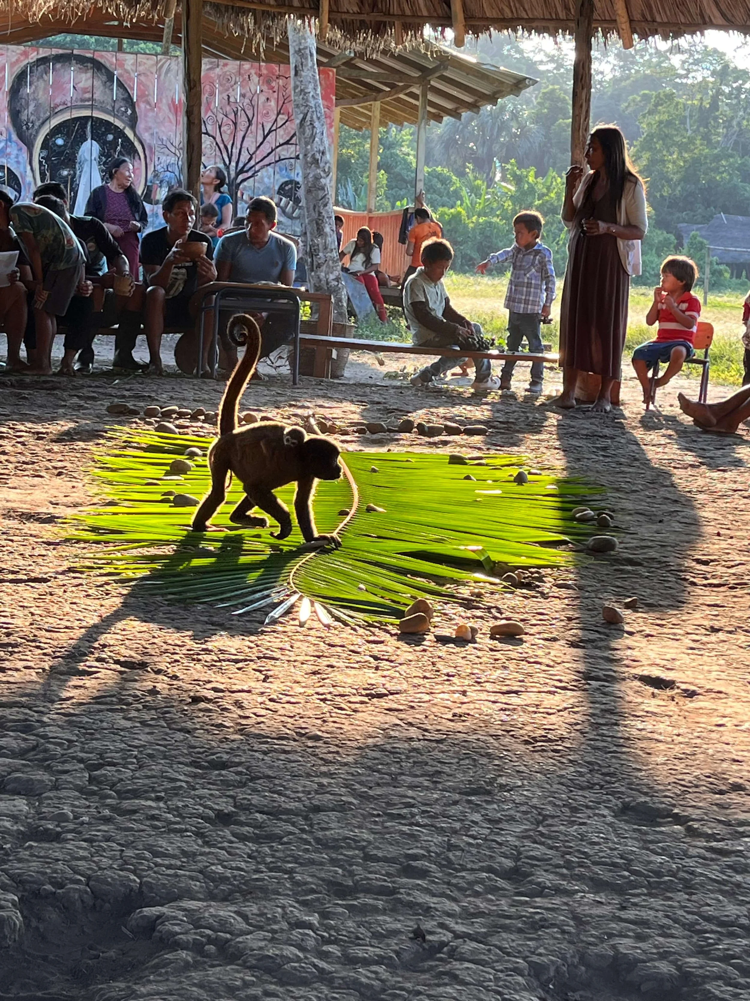 Copy of IMG_3304.jpeg