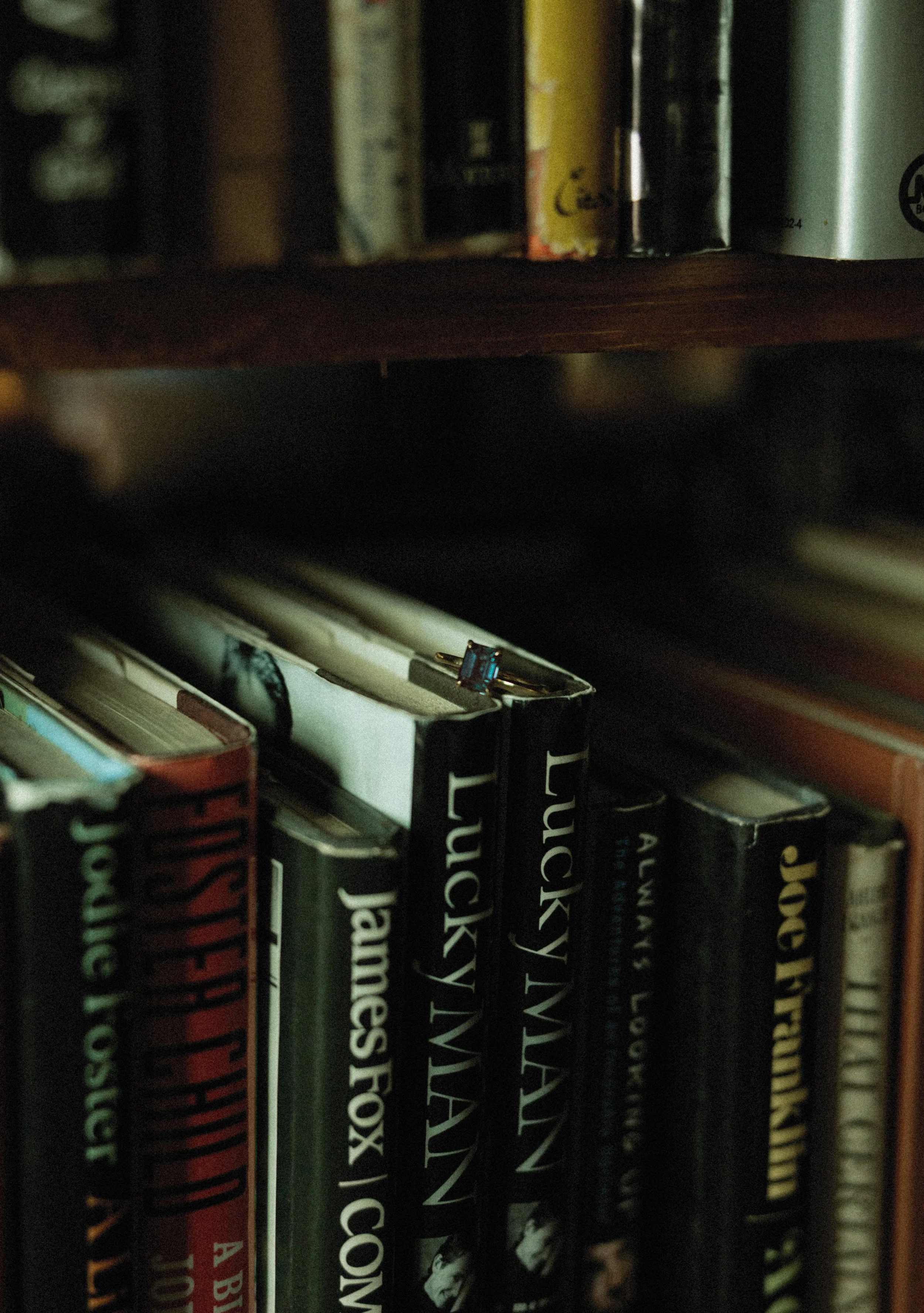 Bridgette M. Photo Detroit MI Photographer_-25.jpg