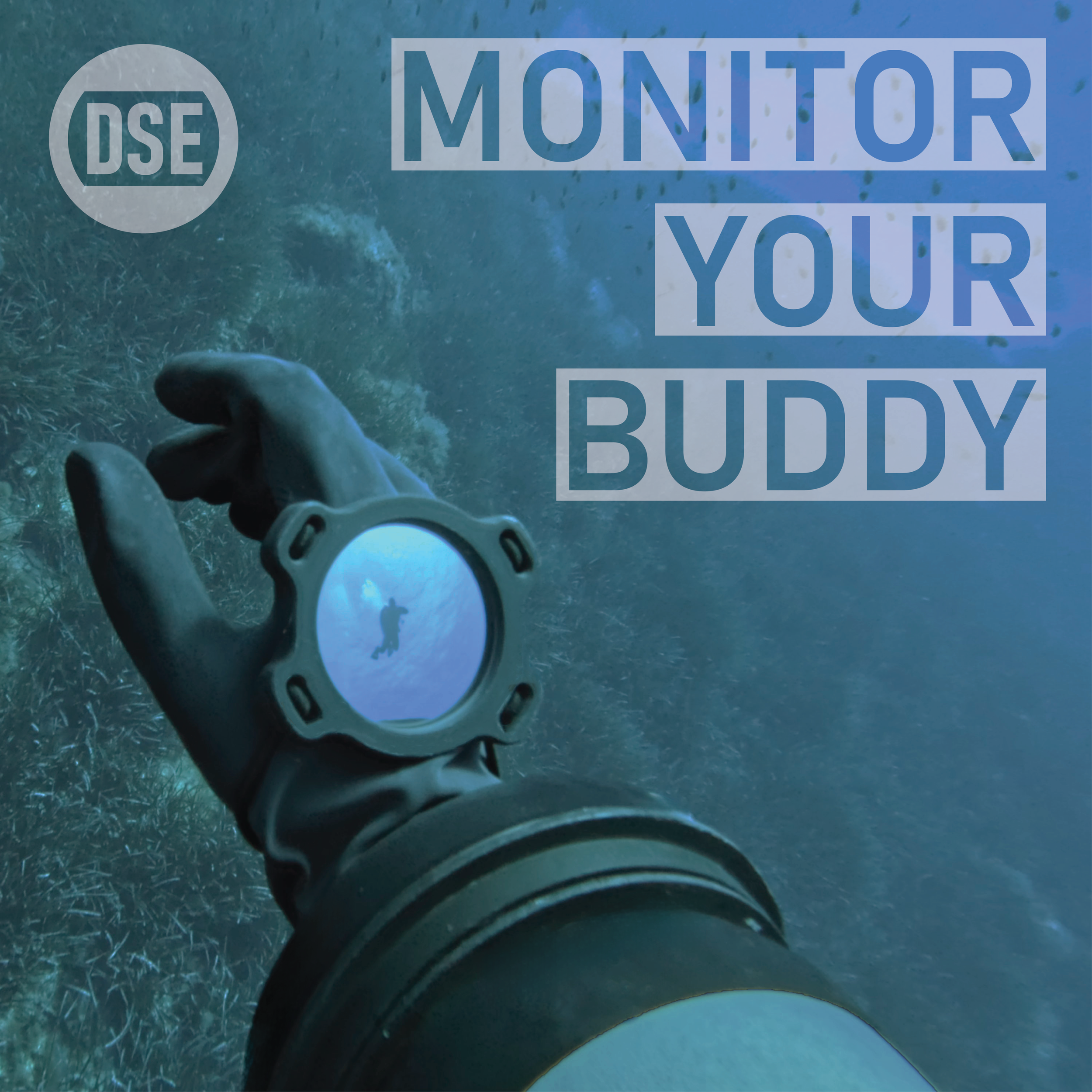 Buddy Check 1to1.png