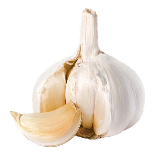 garlic.png