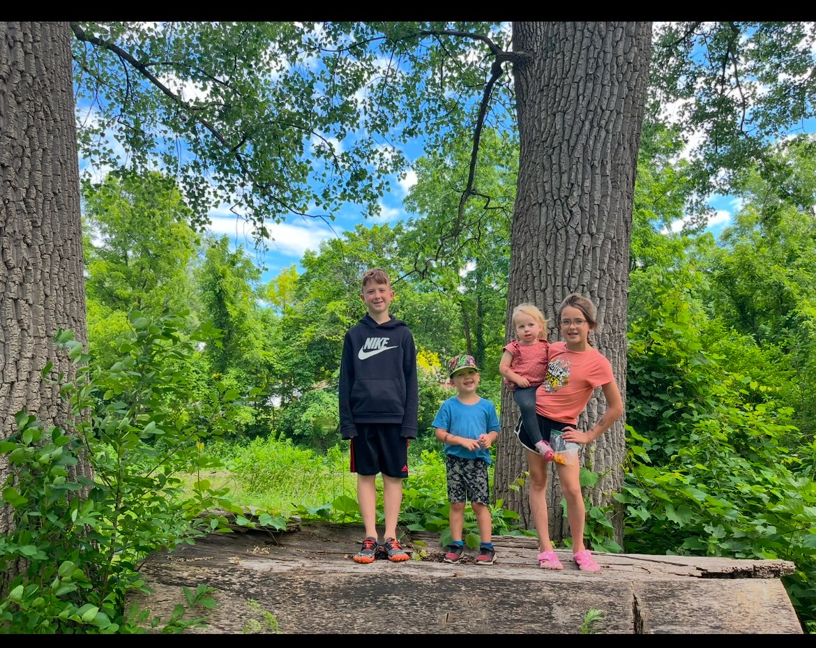 Four children standing on a wooden platform in a forested area with tall trees and lush greenery under a blue sky.