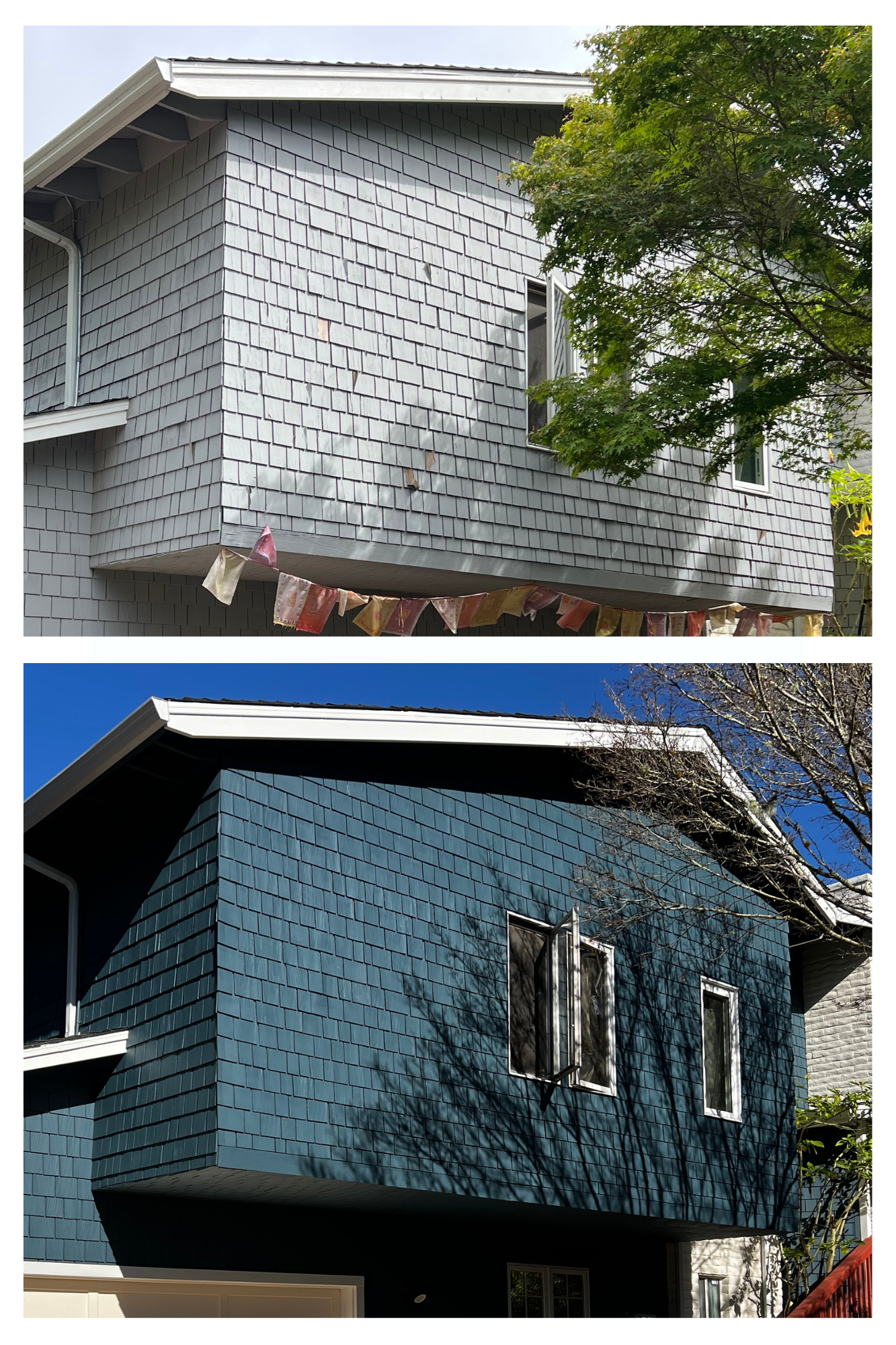 Copy of Untitled.png.PNG