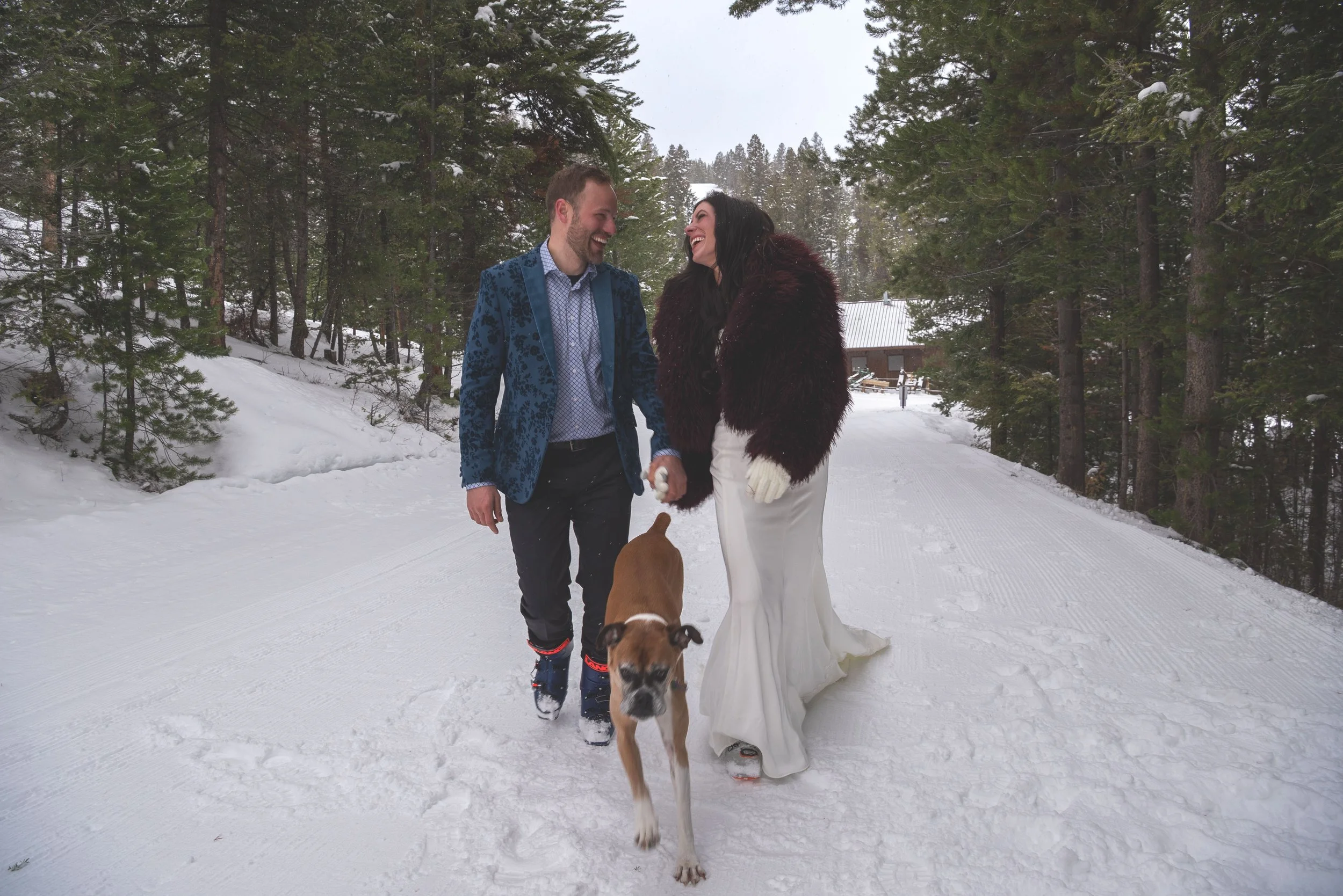     Weddings Are Better With Dogs: A Guide to Including Your Pup in Any Photoshoot