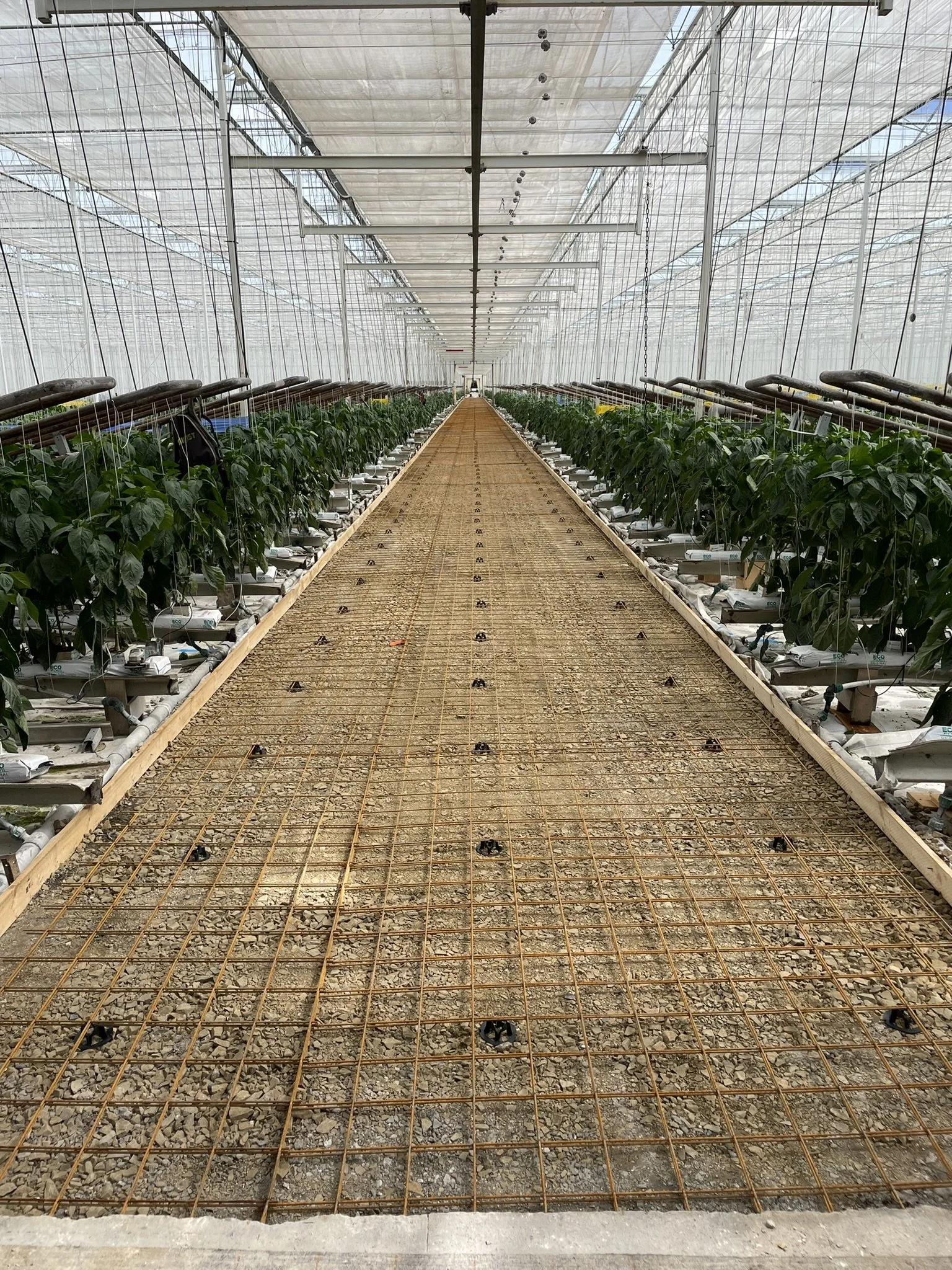 Concrete preperation in Warkworth