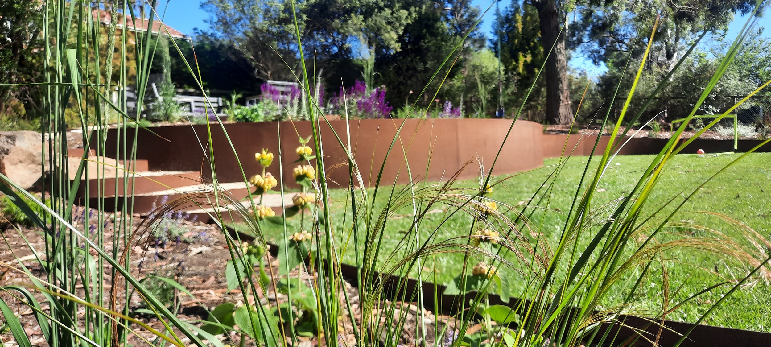 New Ground Taroona Back Garden Flowe Close Up.jpg