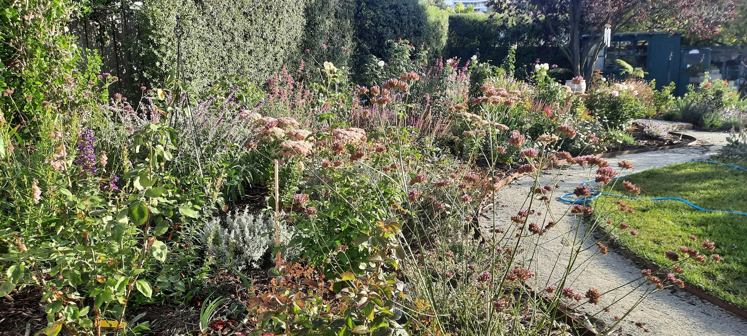 New Ground New Town Back Garden Path.jpg