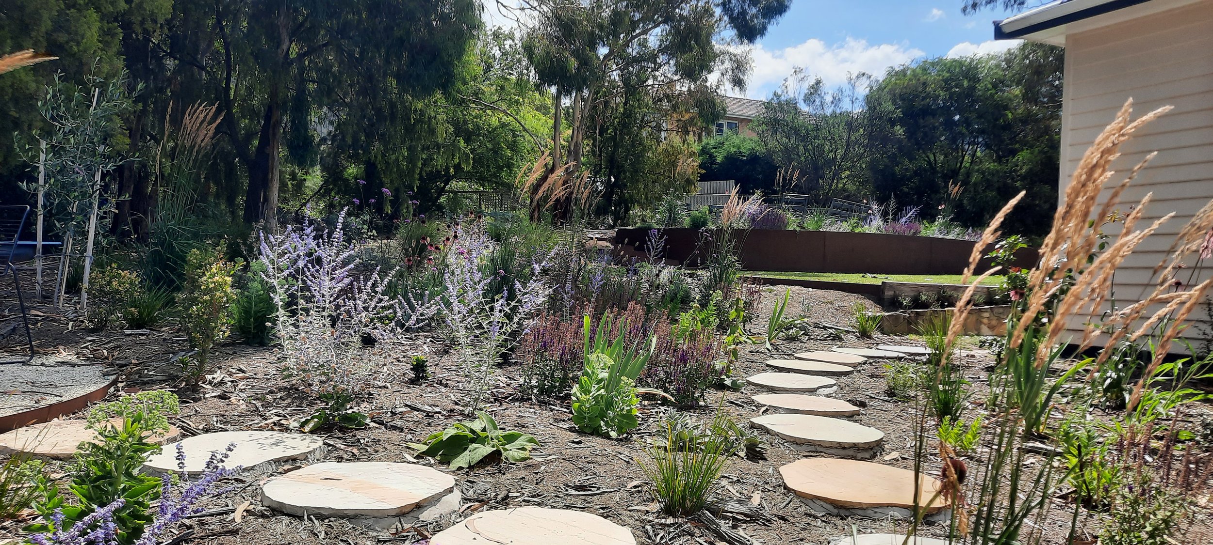 New Ground Taroona Back Garden Stepping Stones.jpg