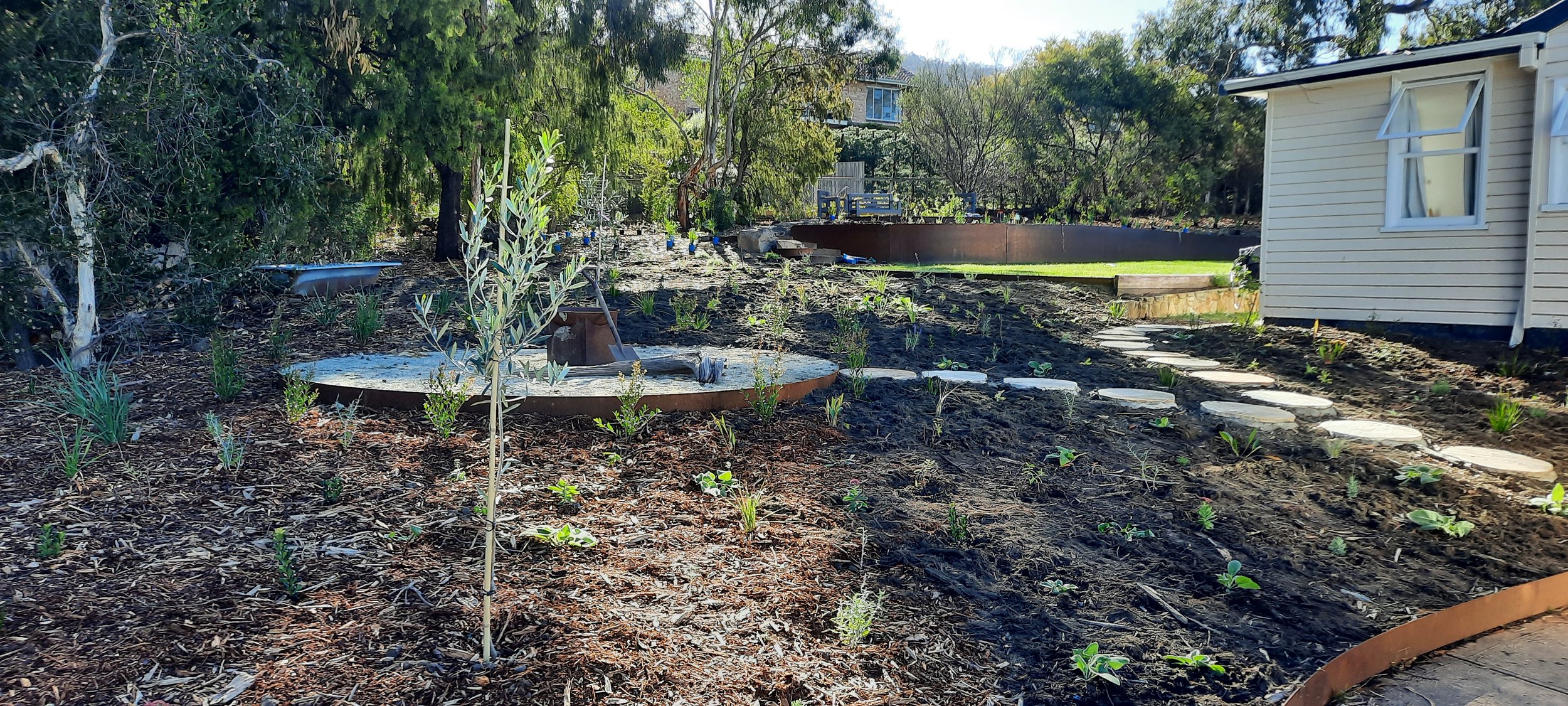 New Ground Taroona Back Garden Wide View.jpg