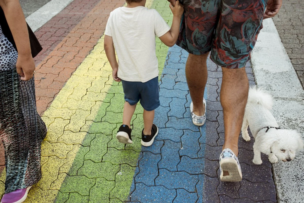 3 people and a white dog walking across a rainbow crosswalk.