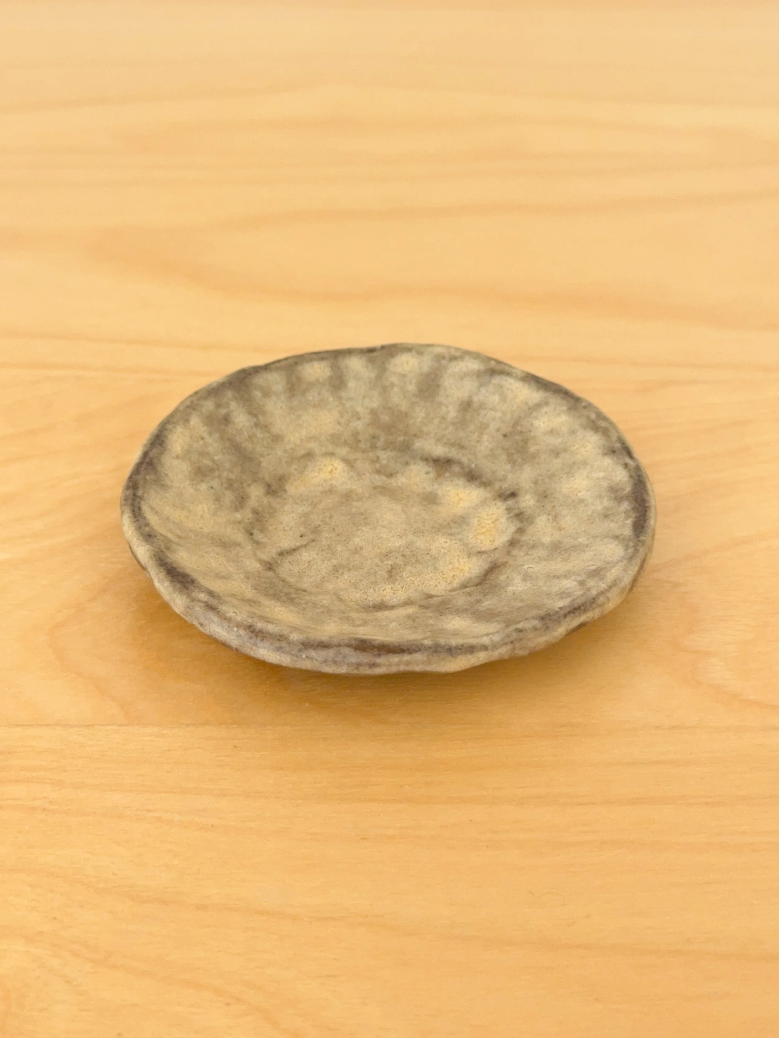 Sand dollar dish by Andrea l. Close up .JPG